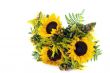 A bunch of sunflowers