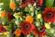 composition with red flowers