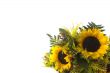 bunch of sunflowers