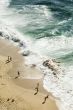 Beach birds eye view