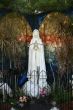 Virgin Mary