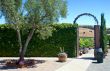 Wine Country