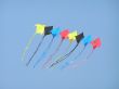 multiple kite