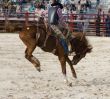 Bronco Riding 3