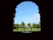 view from veranda