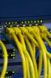 network