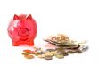 Red pig for saving money