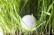 Golfball