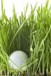Golfball