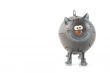 Funny cat