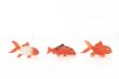 Three goldfishes