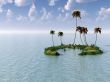 Palm Island