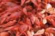 Red boiled crayfishes