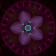 Star Flower