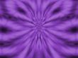 Purple Plump