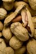 Peanuts