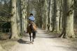 horse riding