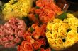 Roses.