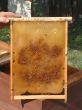 Wax framework