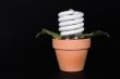 Light Bulb Potted Plant