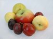 Fruit from a house garden