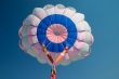parachute canopy