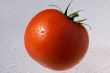 tomato vegetable in drops
