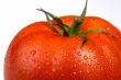 macro of tomato
