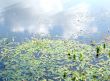 Water&Sky Background