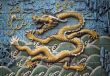 Dragon tiles on screen wall