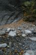 Dark shadows, stream bed