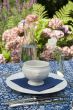 Dinner outdoor