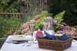 Dinner in the garden
