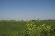 Landscape with windmill
