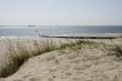a dune at the beach