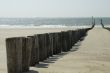 Poles on the beach