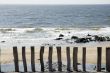Beach with wooden poles