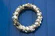 shells