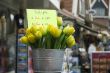 Bucket with wooden tulips