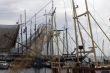 fishery in the harbor