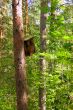 birdhouse