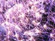 firework