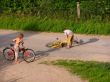 accident