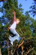 active child