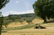 Italian farmer
