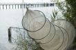 fishing-net
