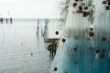 blue fishingnets