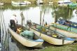 fisherman in boat