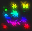 Beautiful flowers