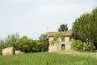 Romantic house